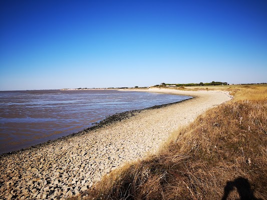 Réserve Naturelle Nationale de la Baie de l'Aiguillon