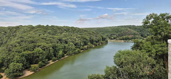 Forêt de Mervent