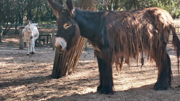 Parc des Floralies