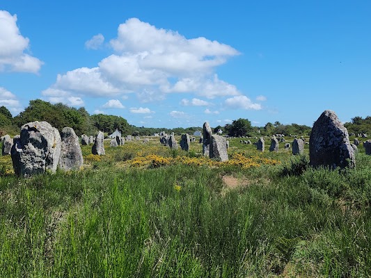 Allineamenti di Carnac