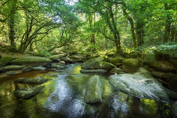 Gorges of Toul Goulic