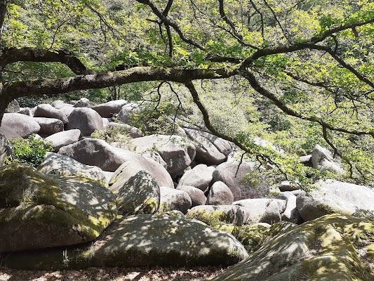 Landes de Locarn
