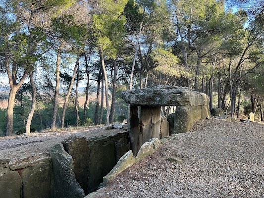 Dolmen des Fades