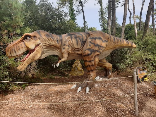 Dino's Park - Parc à thème, immersif - Vendée
