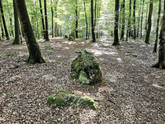 Cordon des Druides