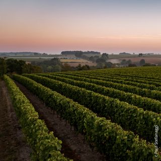 Famille Denis - Domaine Du Petit Clocher