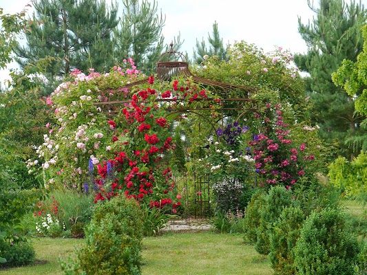 Le Jardin de Mireille en Touraine Angevine