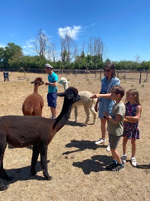 La Petite Ferme d'Alpagas Sanzay (Alpaca farm)