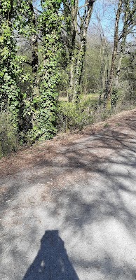 Voie verte Bressuire - Nueil-Les-Aubiers