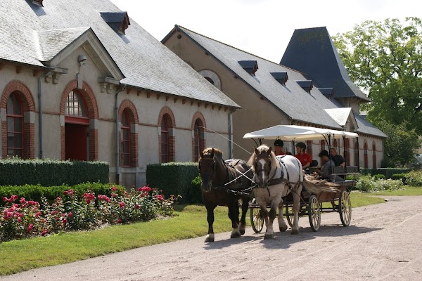 Haras National de Lamballe