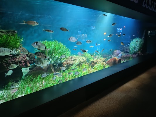 Aquarium de Vendée