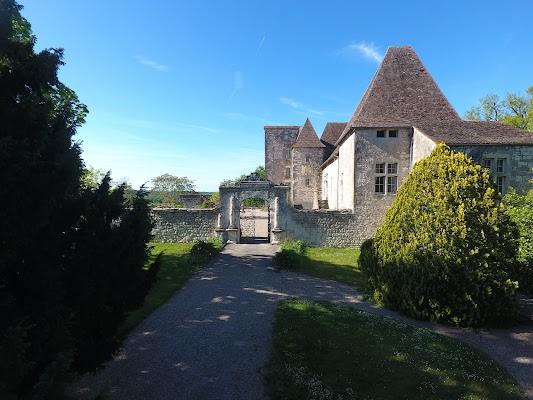 Château de Born Gourmandises Pruneaux d'Agen IGP