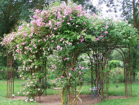 Roseraie - Les Chemins de la Rose