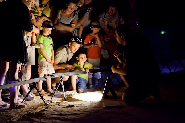 Beach to pterosaurs