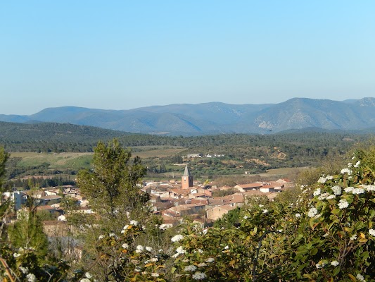 Camping Les Terrasses - Saint Chinian
