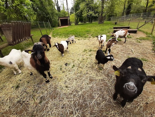 Sheep Park Village open from Easter to All Saints