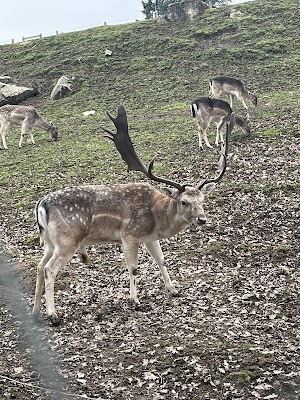 Parc de la Vallée