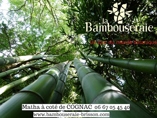 La Bambouseraie Joan Brisson