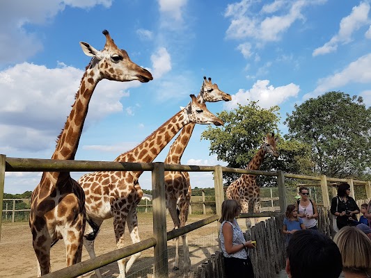 Natur'Zoo De Mervent