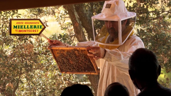 Honey Clauses