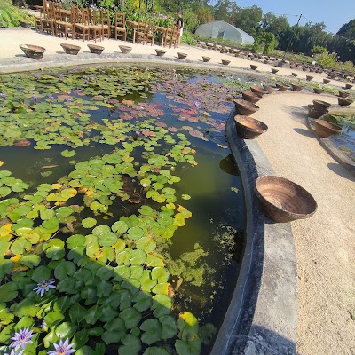 Le Jardin des Nénuphars Latour Marliac et sa pépinière Historique