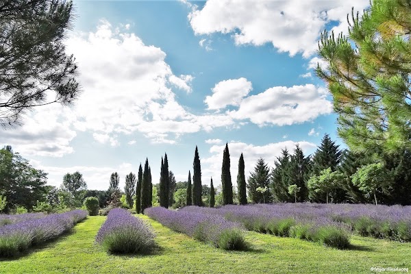 Les jardins du Coq