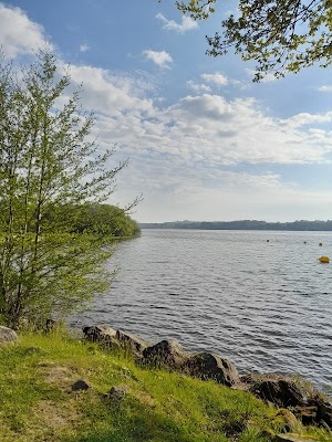Lac de Guerlédan