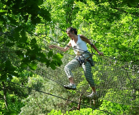 Call Tree Forest Adventure Course Dordogne