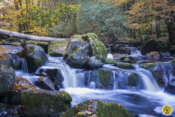 Le saut de la Brame