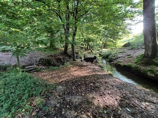 Source de l'Hermitière