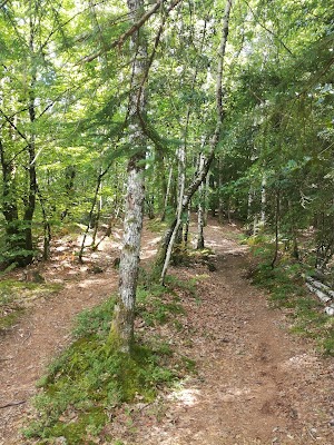Sentier de l'Imaginaire « la forêt magique »