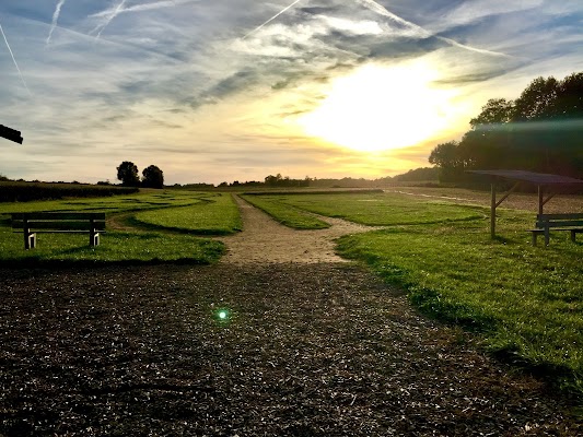Romagna Vegetal Maze