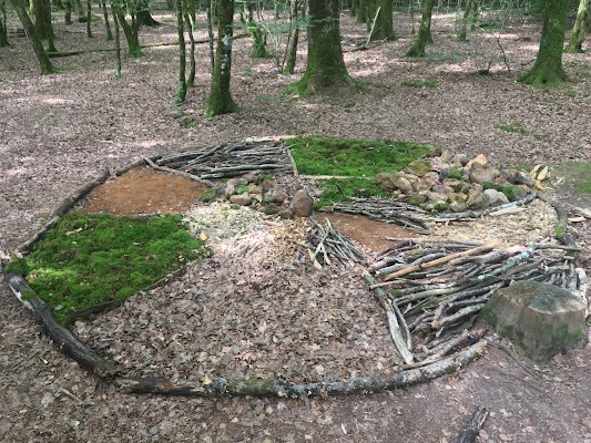 Forêt de la braconne. Parking