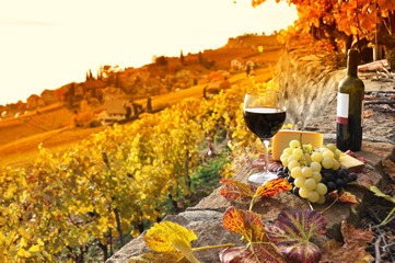 Beaune - The Wine Capital of Burgundy