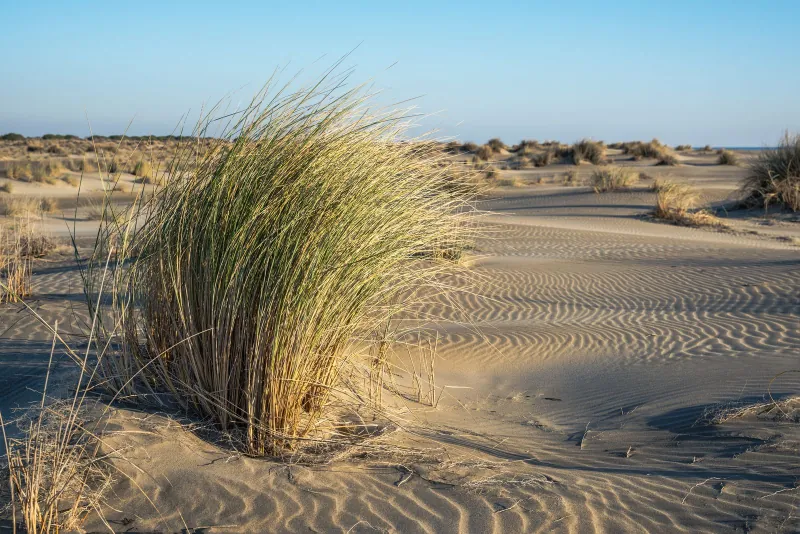The three best beaches in Languedoc