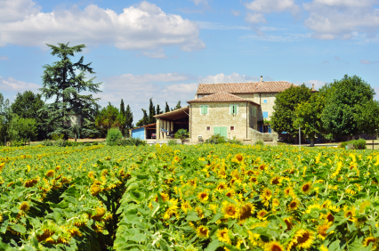 Le Petit Château - Charming Stone Farmhouse — 8-Schlafzimmer Chambre d’hote in Centre