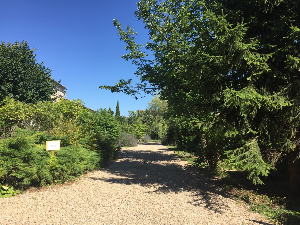 La Libellule