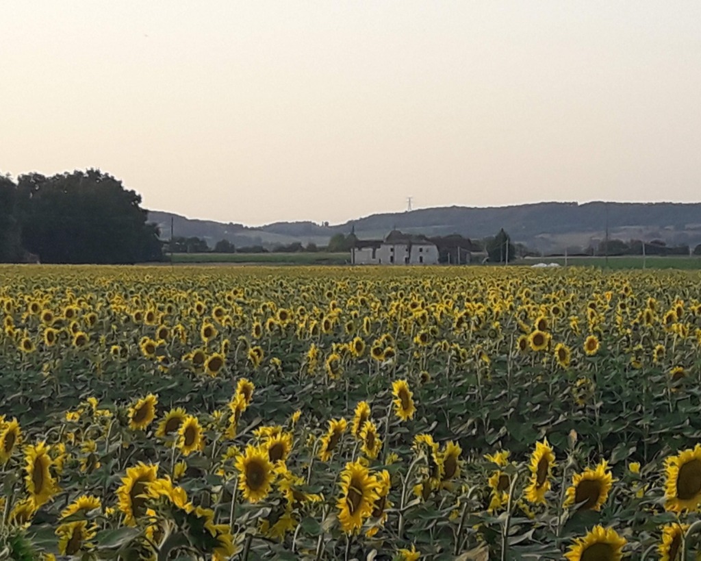 Gite Pola aka cottage Teoules-Bas