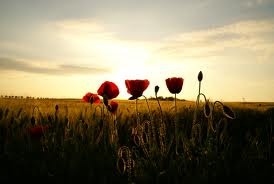 Rural farmhouse - Les Coquelicots