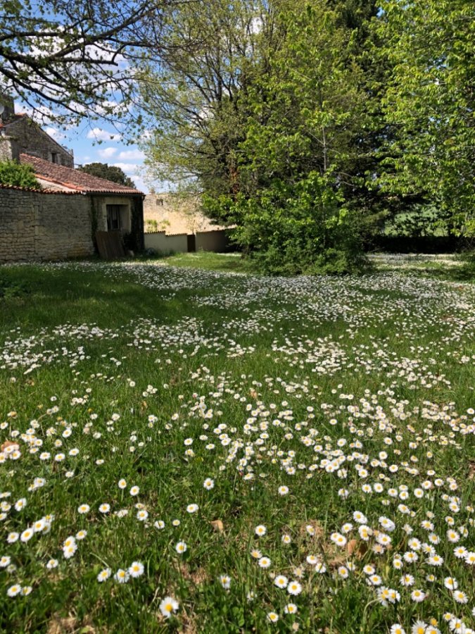 Pretty Gite with heated swimming pool Charente Maritime Region