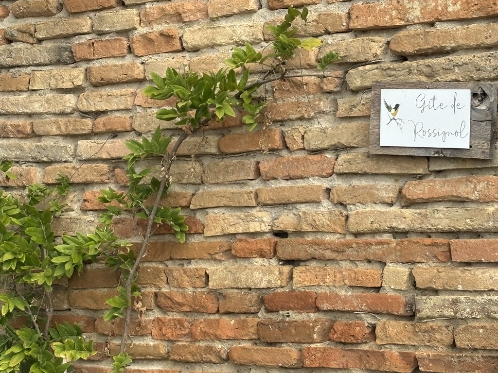 Gite de Rossignol